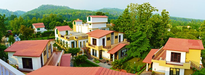 The Tiger Groove - Jim Corbett National Park 01.jpg